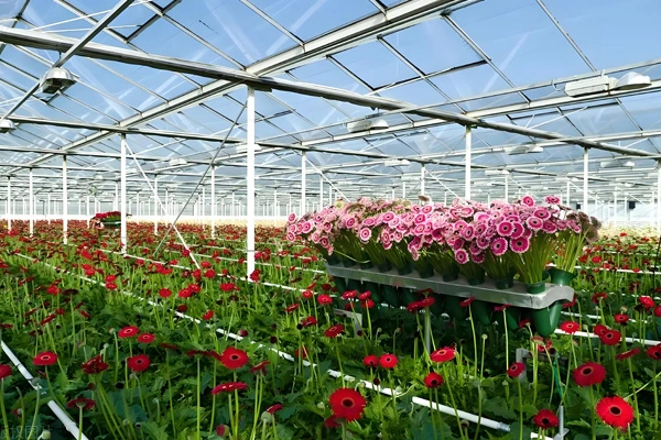 Was ist der Unterschied zwischen PE-und PVC-Tarp-Gewebe?