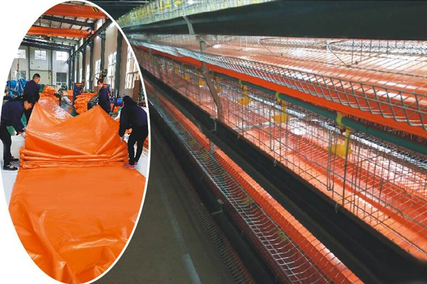 Top-Anwendungen von PVC-Rasse plane für Nutztiere